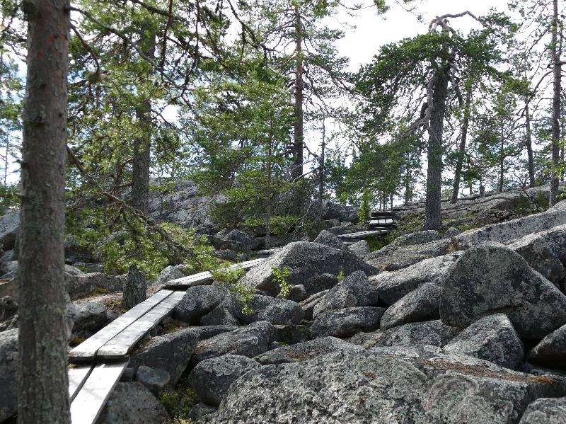 Trails in Aavasaksa - foto by Kai Metsävainio